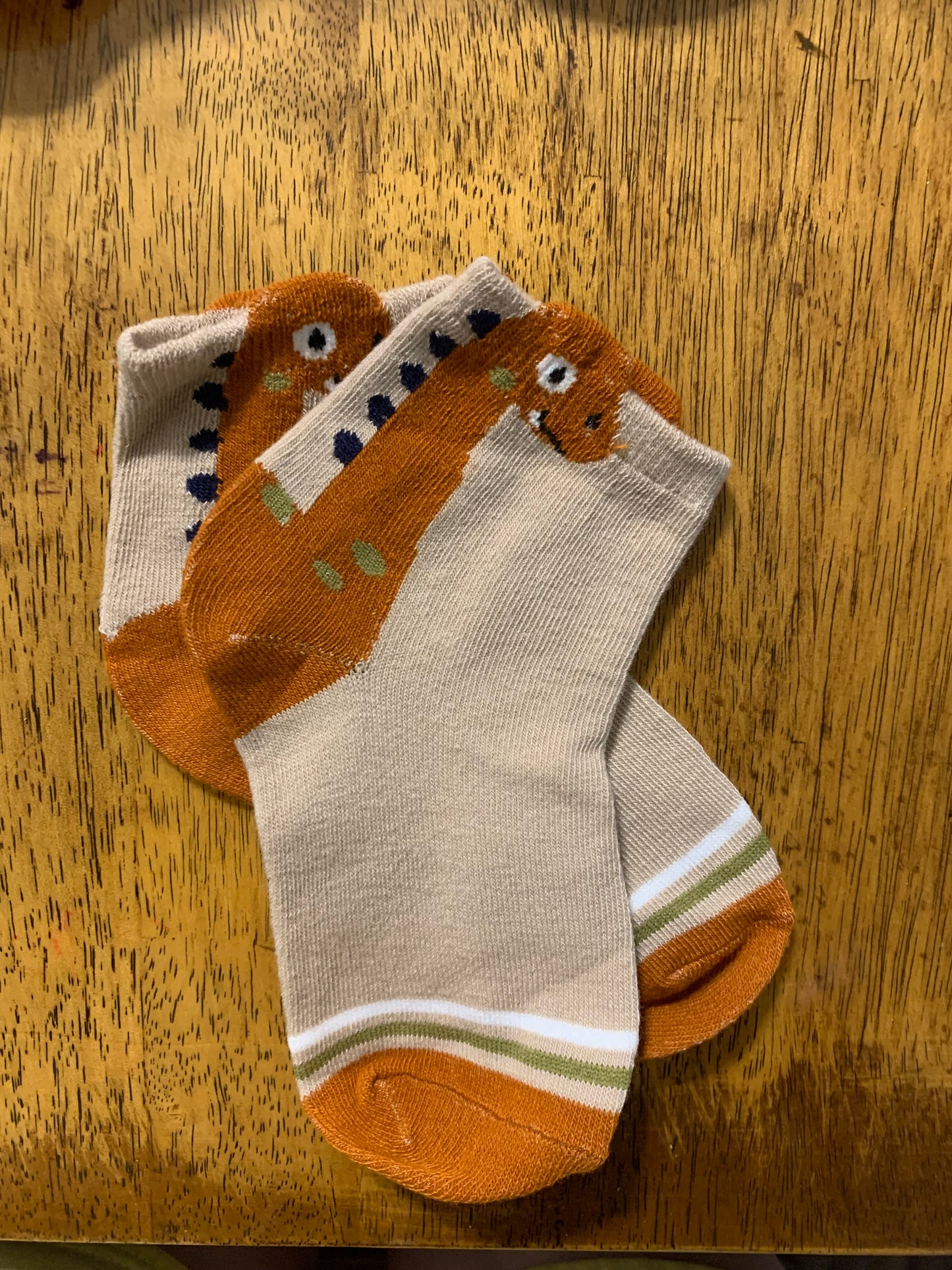 Dinosaur Young Boy Socks Children