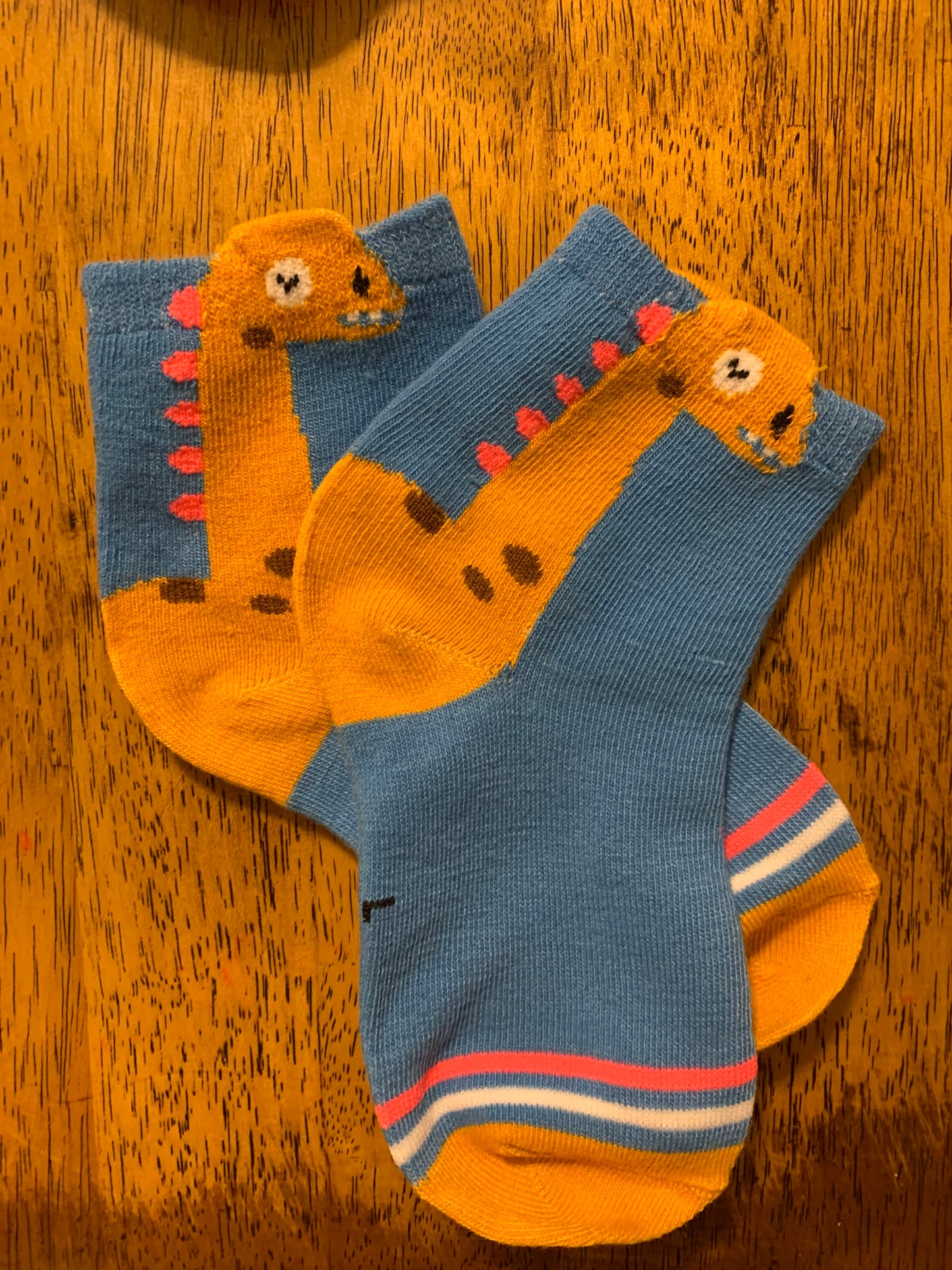 Dinosaur Young Boy Socks Children
