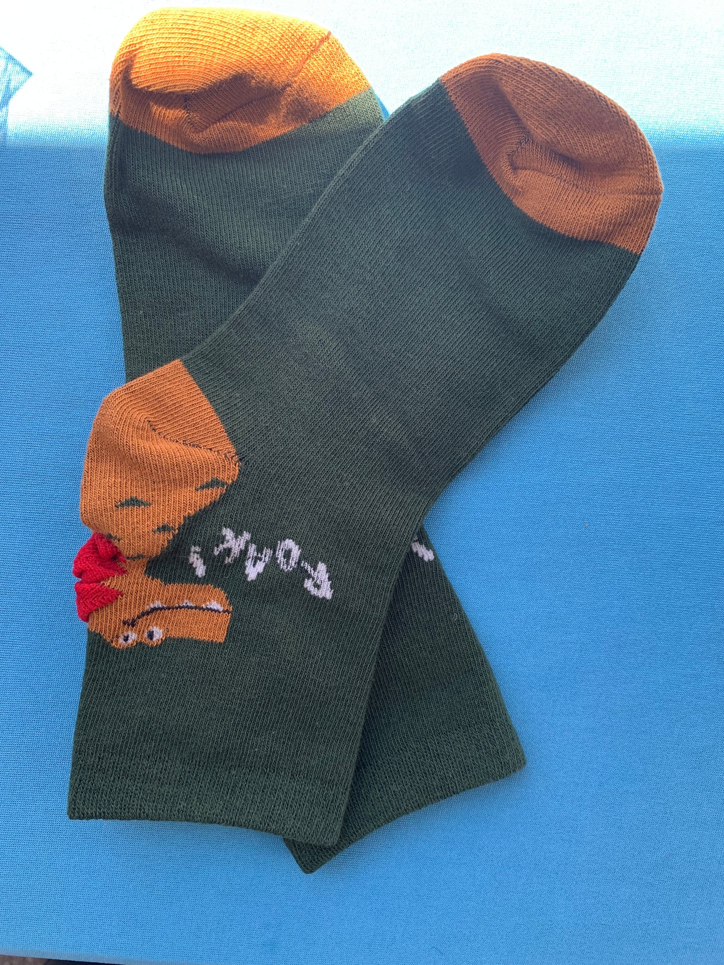 Dinosaur Young Boy Socks Children