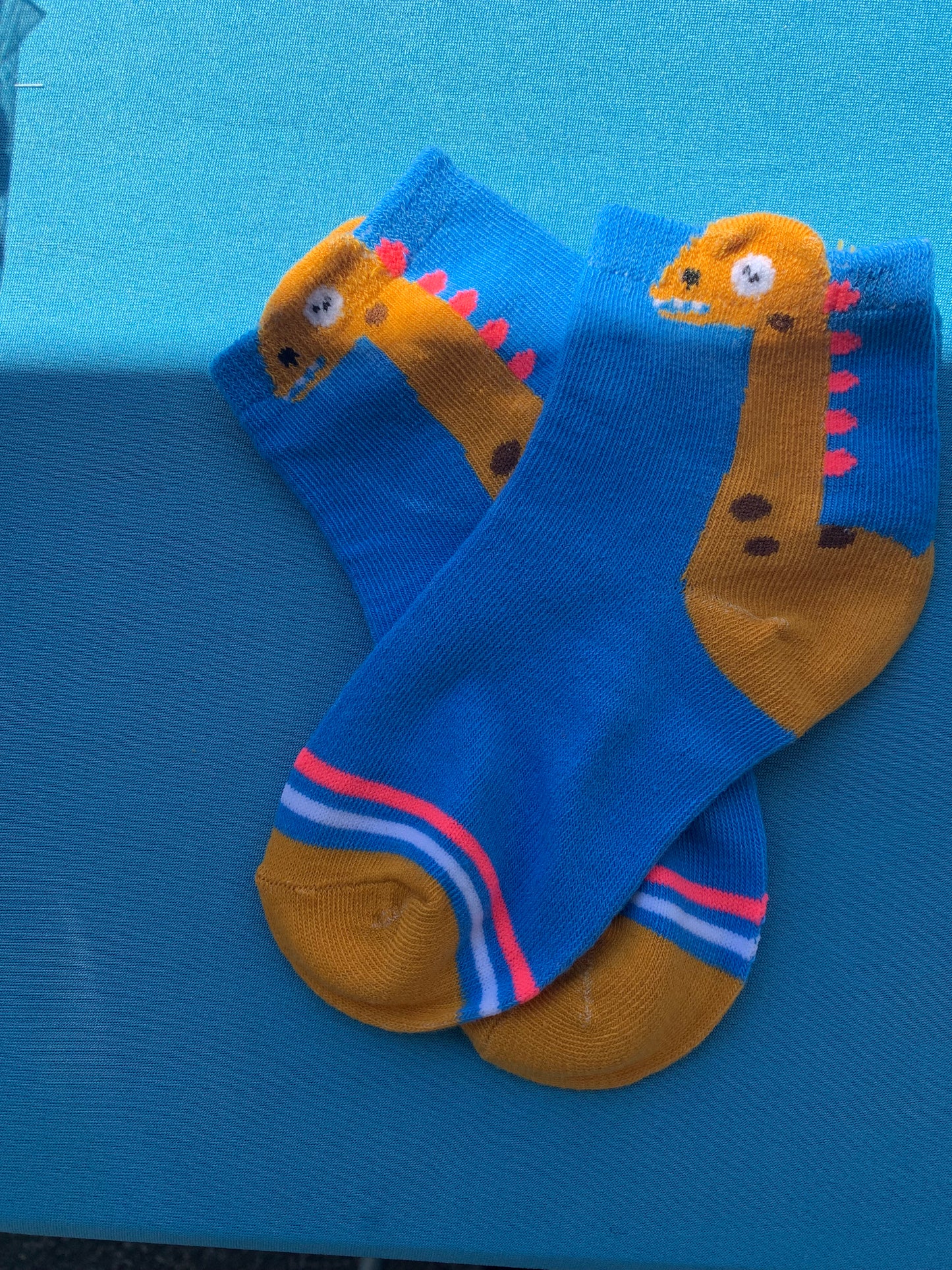Dinosaur Young Boy Socks Children
