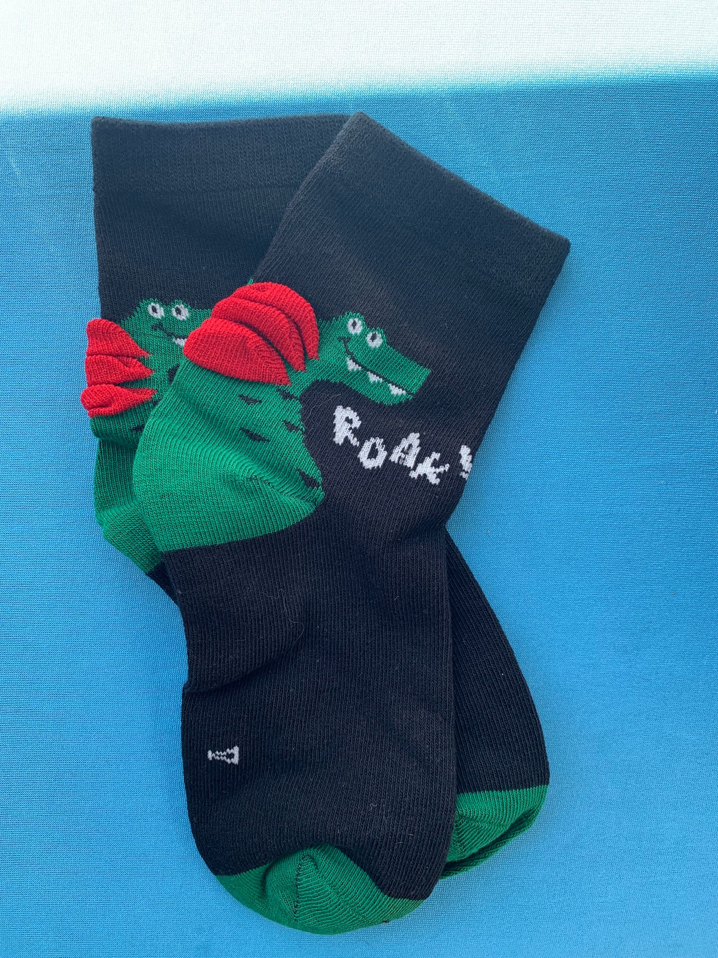 Dinosaur Young Boy Socks Children