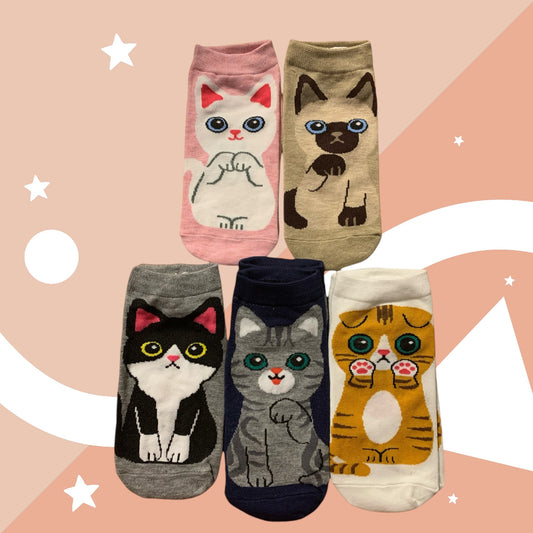 Kitty Socks